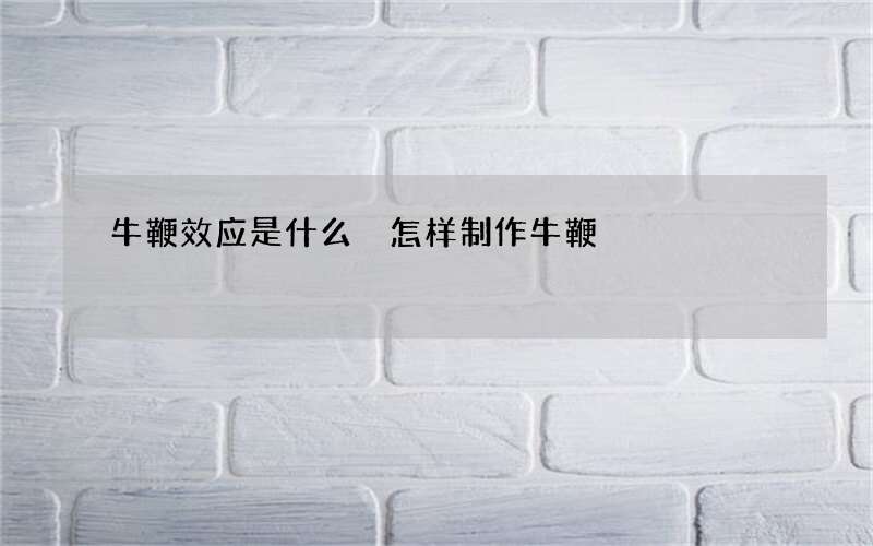 牛鞭效应是什么 怎样制作牛鞭